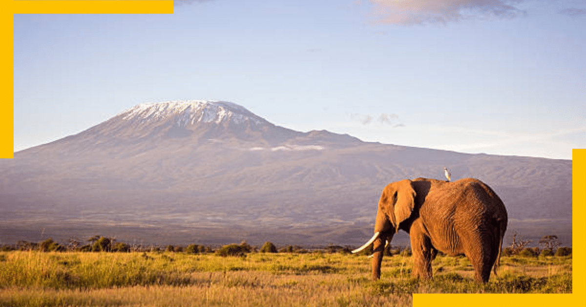 Mount Kilimanjaro