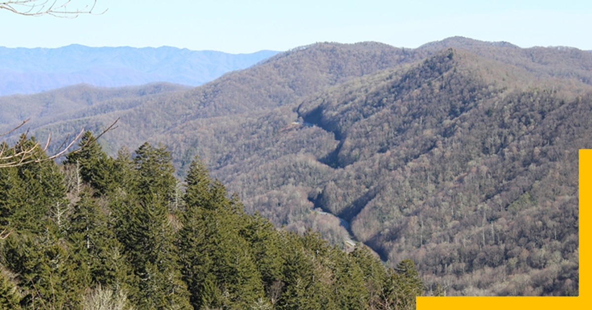 Best Places to Travel in November-Smoky Mountains, Tennessee, USA