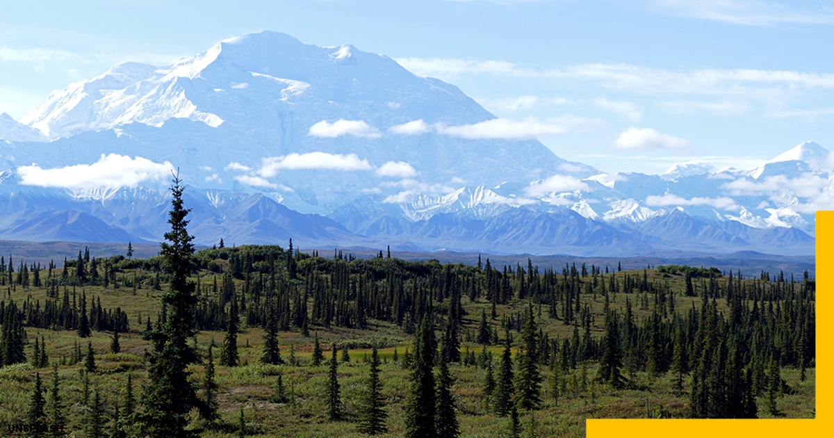 Best Time to Travel to Alaska-Denali national Park and Preserve USA