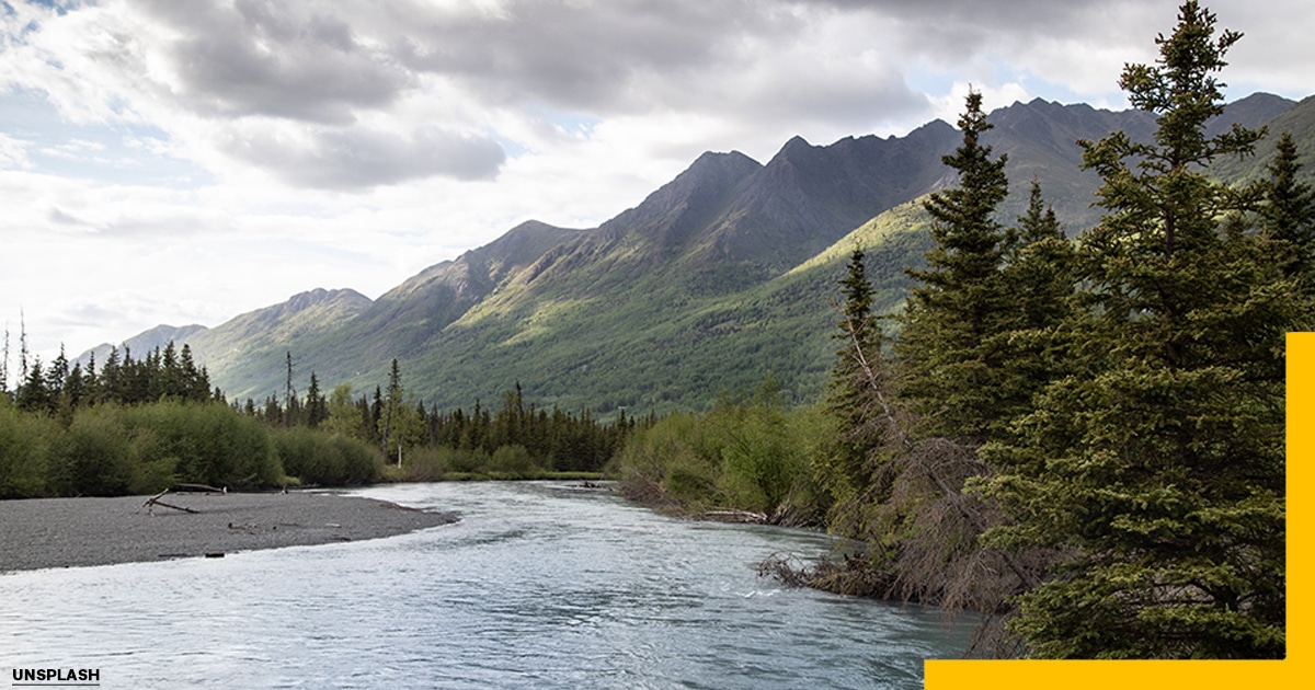 Best Time to Travel to Alaska-Maximizing Your Alaskan Experience, USA