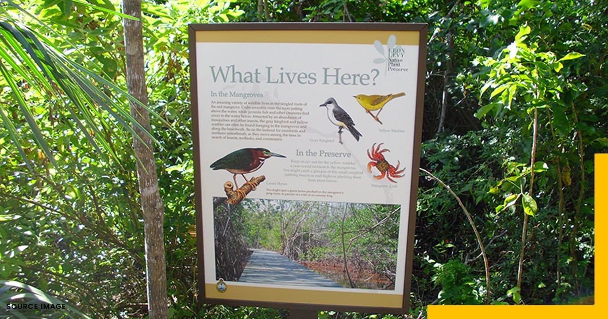 Best Islands in The Bahamas-Levy Native Plant Preserve, Bahamas