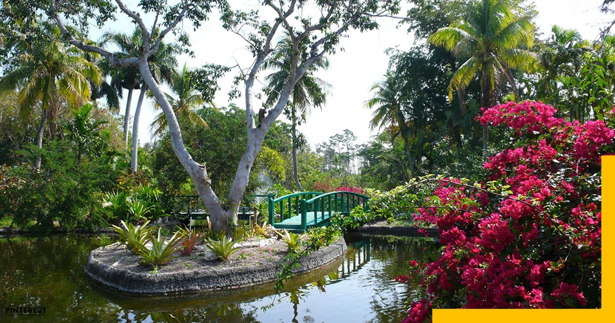 Best Islands in The Bahamas-The Garden of The Groves Fountain, FreePort Bahamas