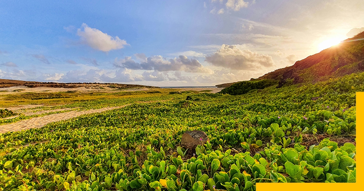 Best Time to go to Aruba, The Caribbean Sea, Venezuela