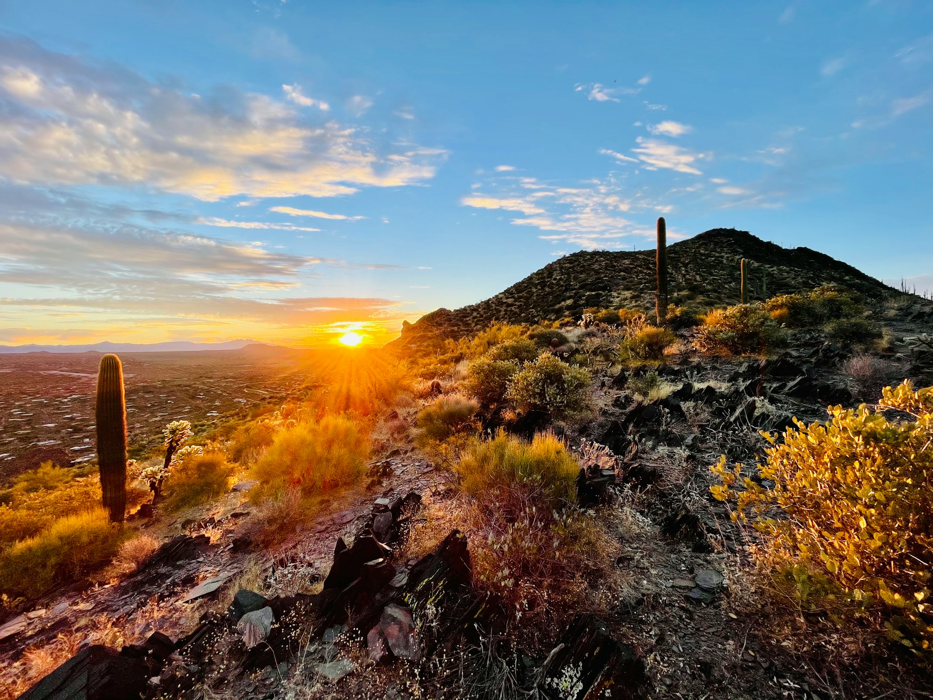 Cave Creek Regional Park