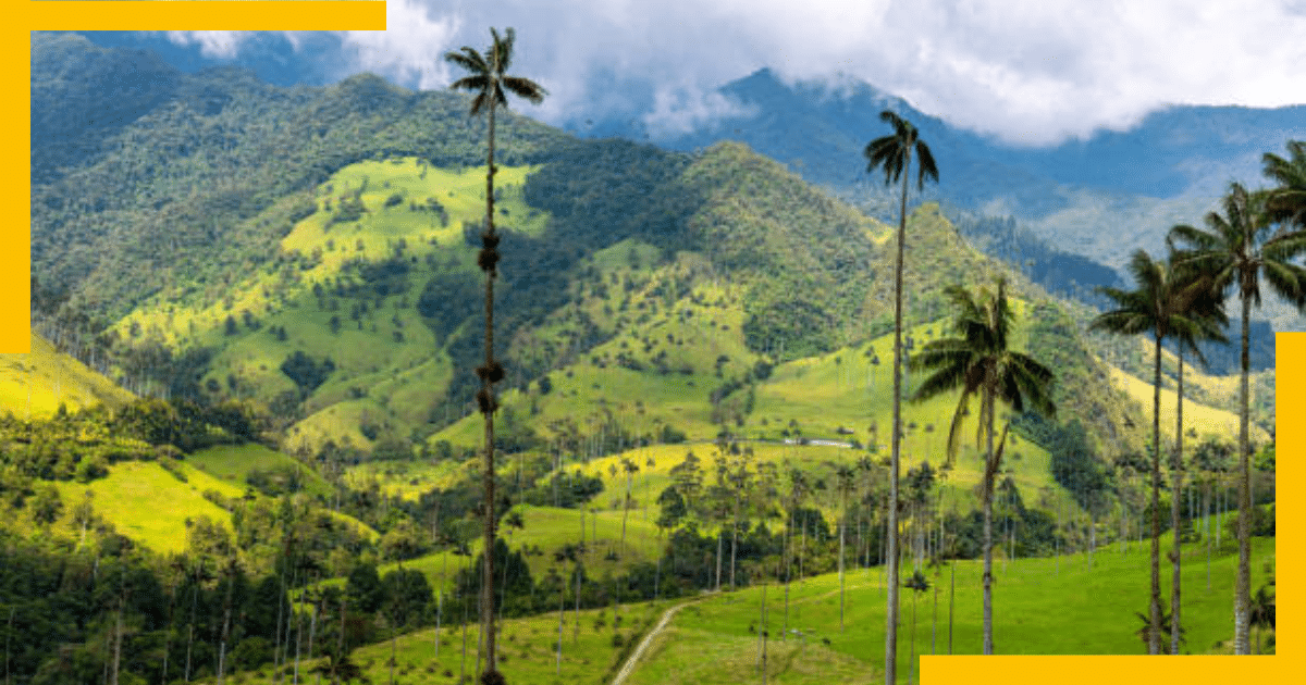 Cocora Valley, Colombia