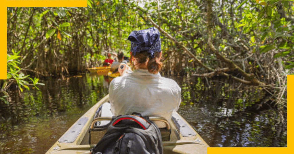 A woman kayaking through the Everglades, Florida ,USA