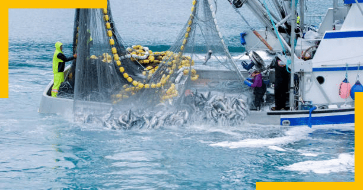 Commercial fishing in Whittier, Alaska