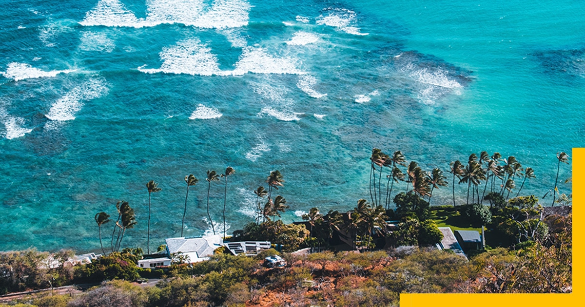 Bird view of the Hawai- A Tropical Dream Within Reach