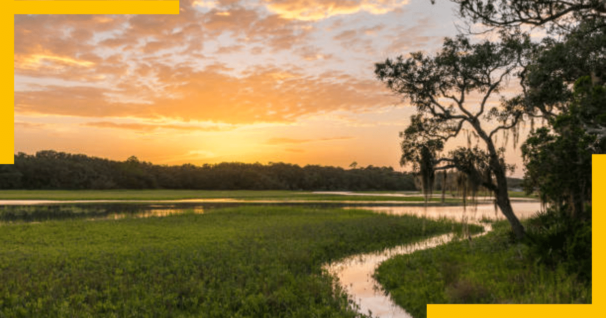 Marshy land and sunset