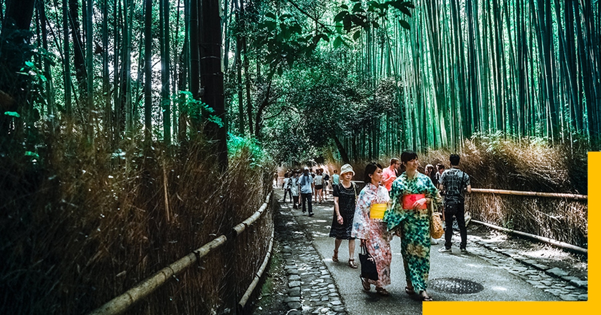 Japan Travel Tips-Arashiyama Bamboo Forest, Kyoto, Japan