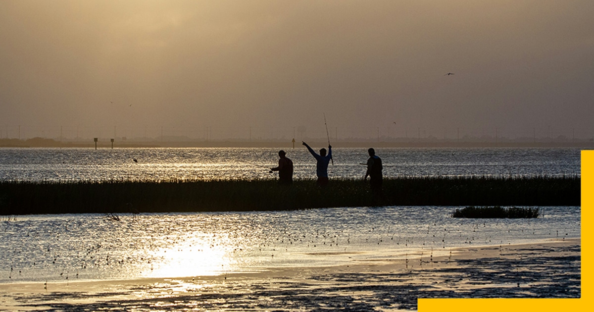 Lagoons of Corpus Christi Bay