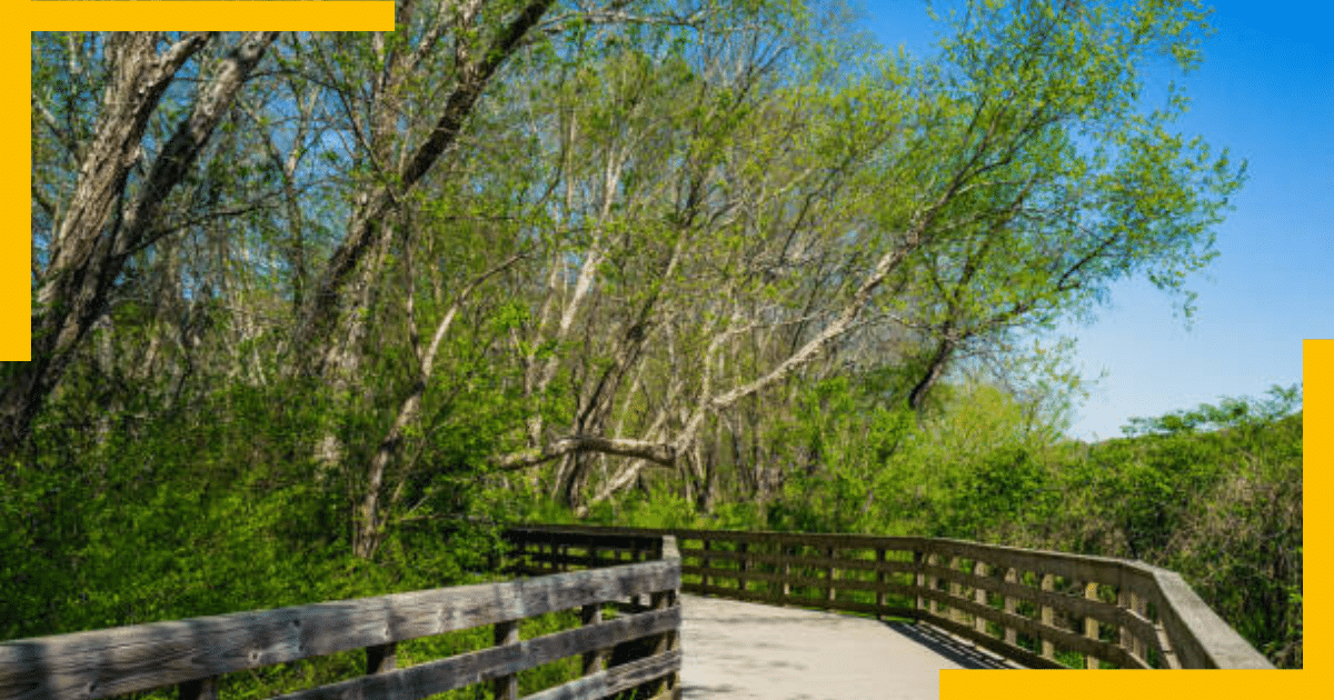 Rosswell's Boardwalk , Rosswell