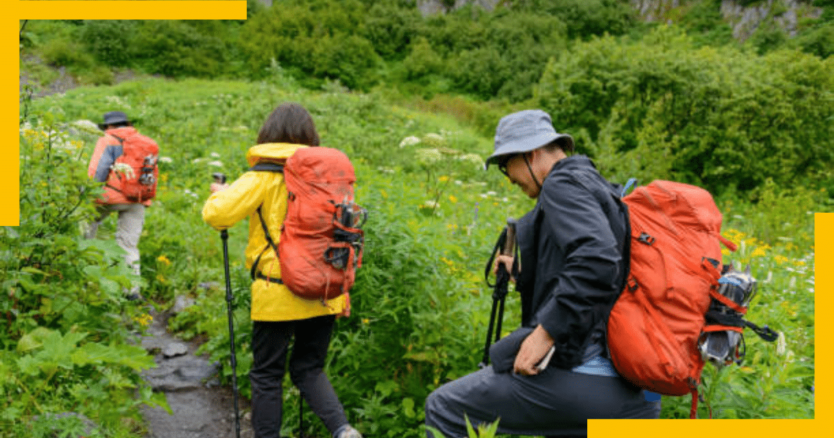 A woman and two men hiking on a trail in Seward, Alaska