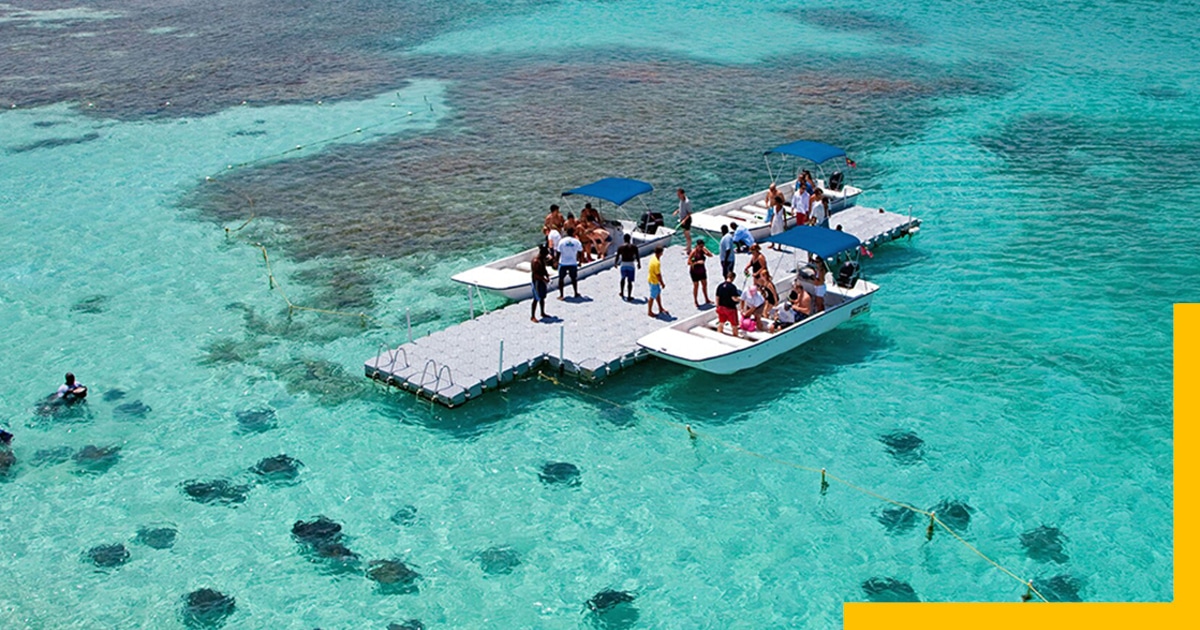 Best Places to Visit in Bahamas-Stingray City Antigua, Bahamas