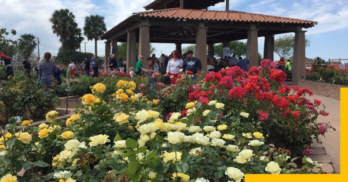 Things to Do in Corpus Christi-South Texas Botanical Gardens _ Nature Cente