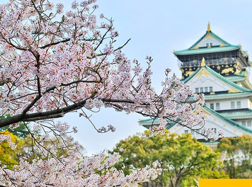 Things to Do in Osaka Japan-Sakura Cherry Blossom Osaka Castle, Osaka Japan