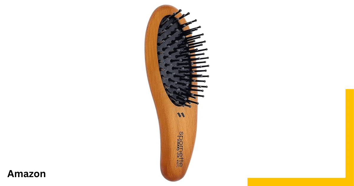 Travel Hair Brush