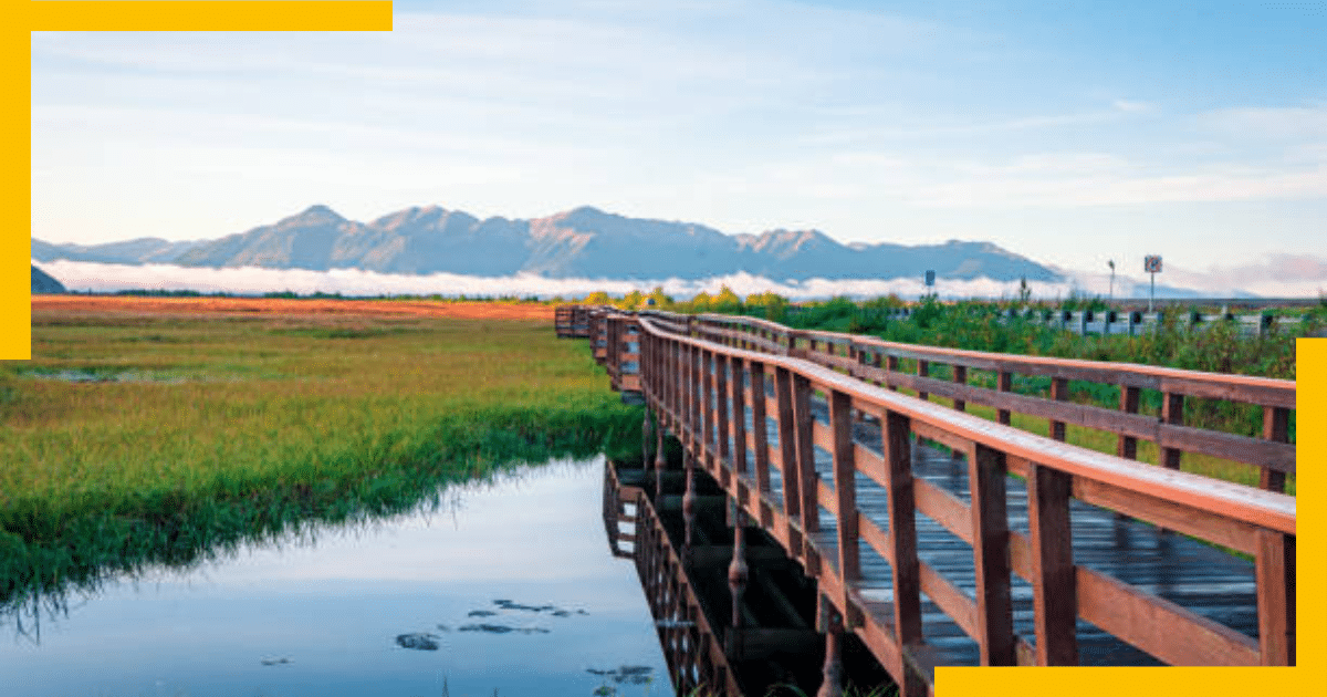 Potter Marsh Wildlife Viewing Center