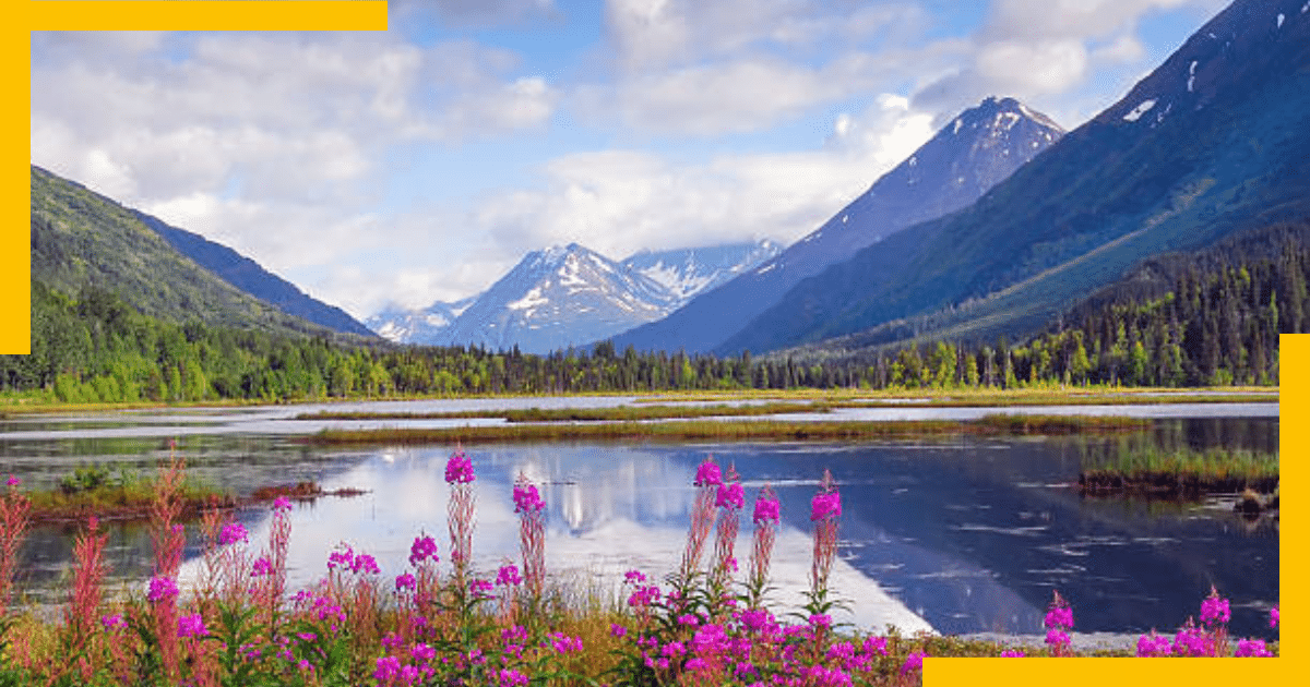 Beautiful lake in Alaska with blooming flowers 