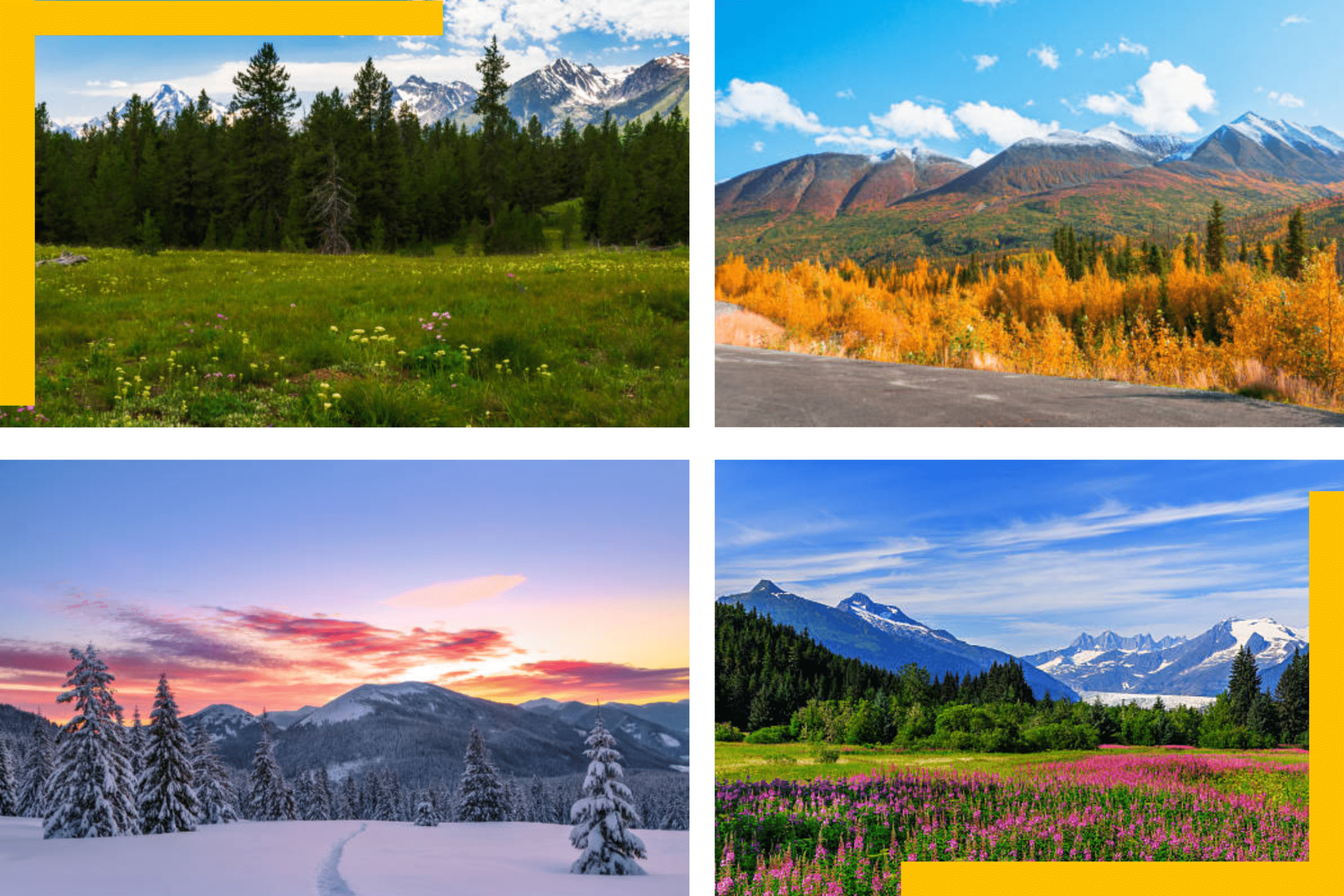 Depiction of Four Seasons in Alaska