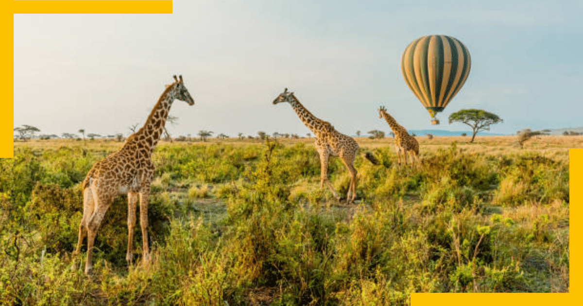 Serengeti National Park, Tanzania